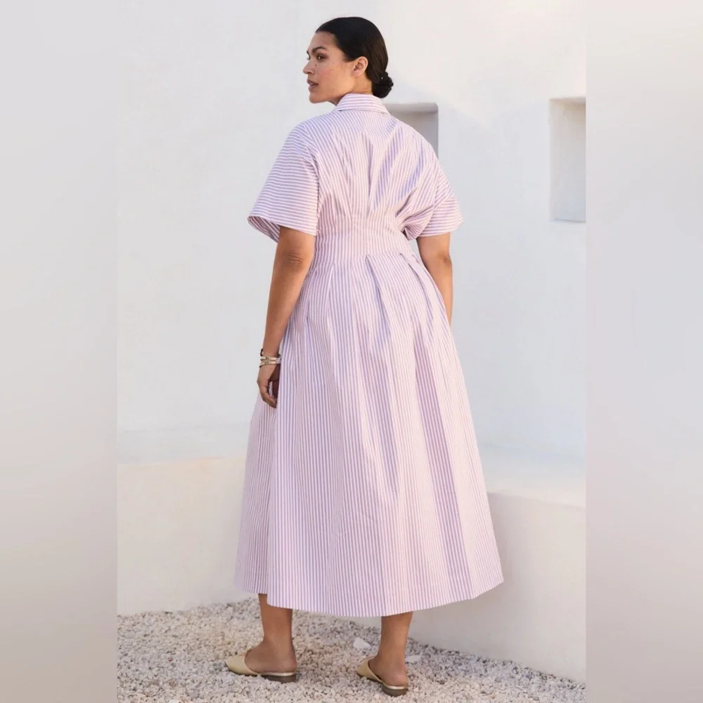 Anthropologie The Tobie Button-Front Pleated Shirt Dress - Picture 4 of 14